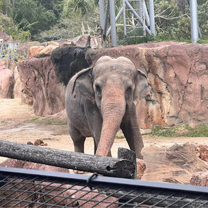 Meet your Posher, Kaylei